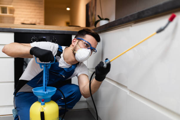Best Termite Control Services  in Coosada, AL