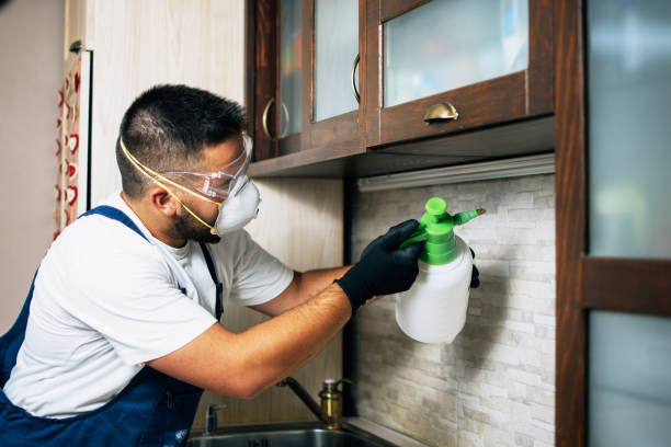Best Insect Control  in Coosada, AL