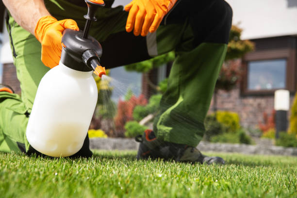 Best Mosquito Control Services  in Coosada, AL