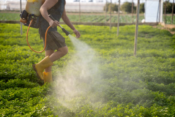 Best Wasp Removal Services  in Coosada, AL