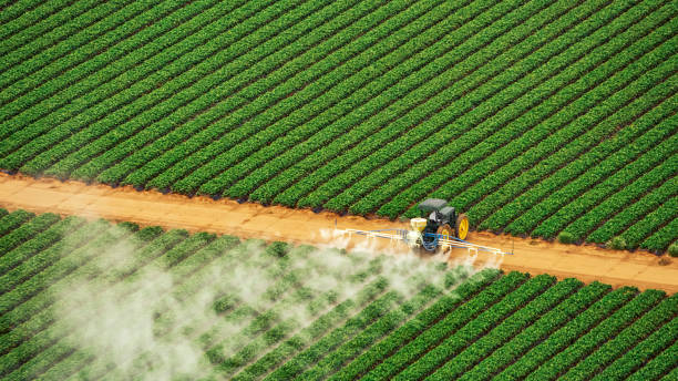Best Pest Removal Services  in Coosada, AL