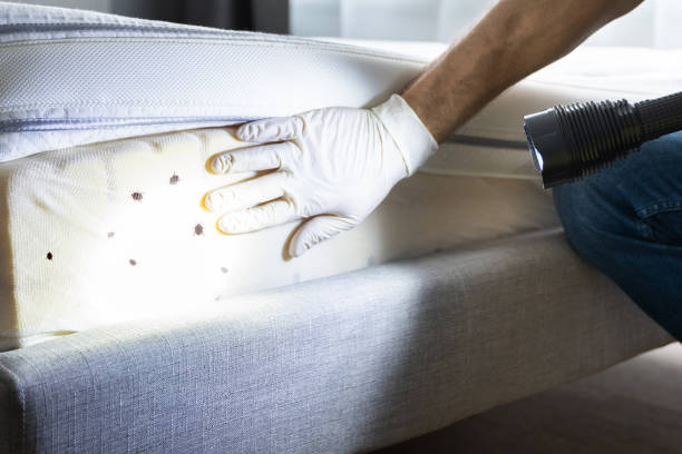 Best Bed Bug Extermination  in Coosada, AL