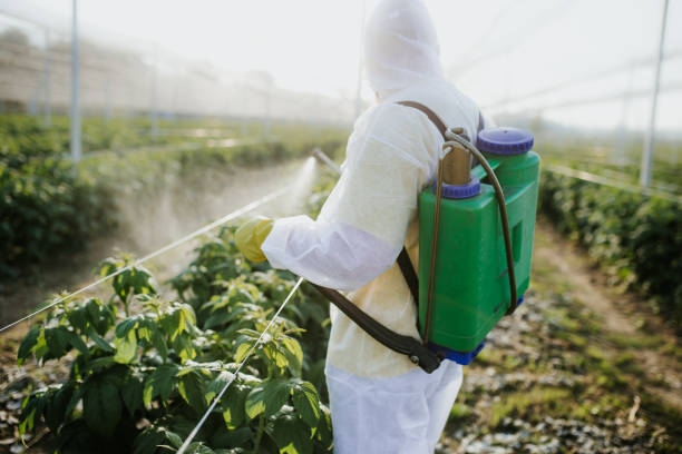 Best Residential Pest Control  in Coosada, AL